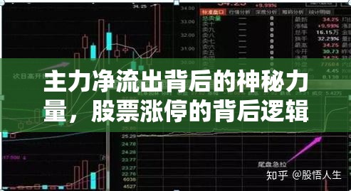 主力凈流出背后的神秘力量，股票漲停的背后邏輯