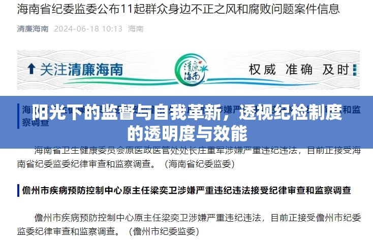 陽光下的監(jiān)督與自我革新，透視紀(jì)檢制度的透明度與效能