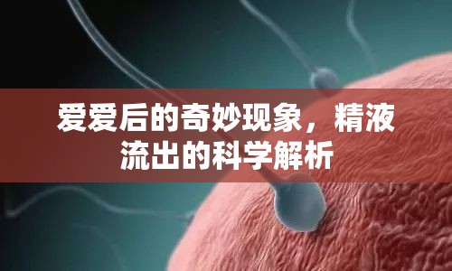愛愛后的奇妙現(xiàn)象，精液流出的科學(xué)解析