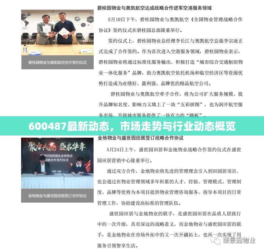 600487最新動(dòng)態(tài)，市場(chǎng)走勢(shì)與行業(yè)動(dòng)態(tài)概覽