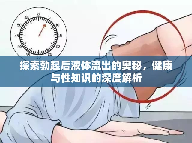 探索勃起后液體流出的奧秘，健康與性知識(shí)的深度解析