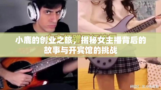 小鹿的創(chuàng)業(yè)之旅，揭秘女主播背后的故事與開(kāi)賓館的挑戰(zhàn)