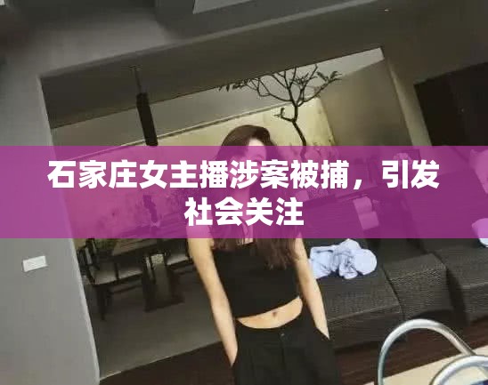 石家莊女主播涉案被捕，引發(fā)社會(huì)關(guān)注