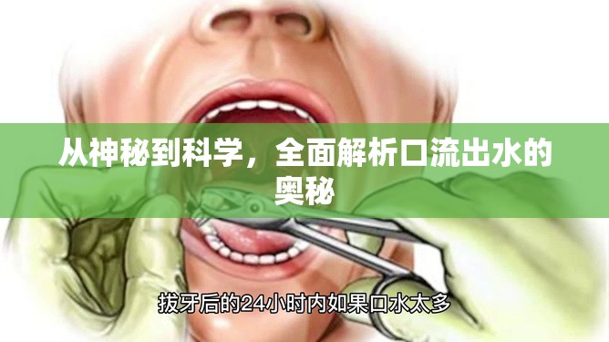 從神秘到科學(xué)，全面解析口流出水的奧秘