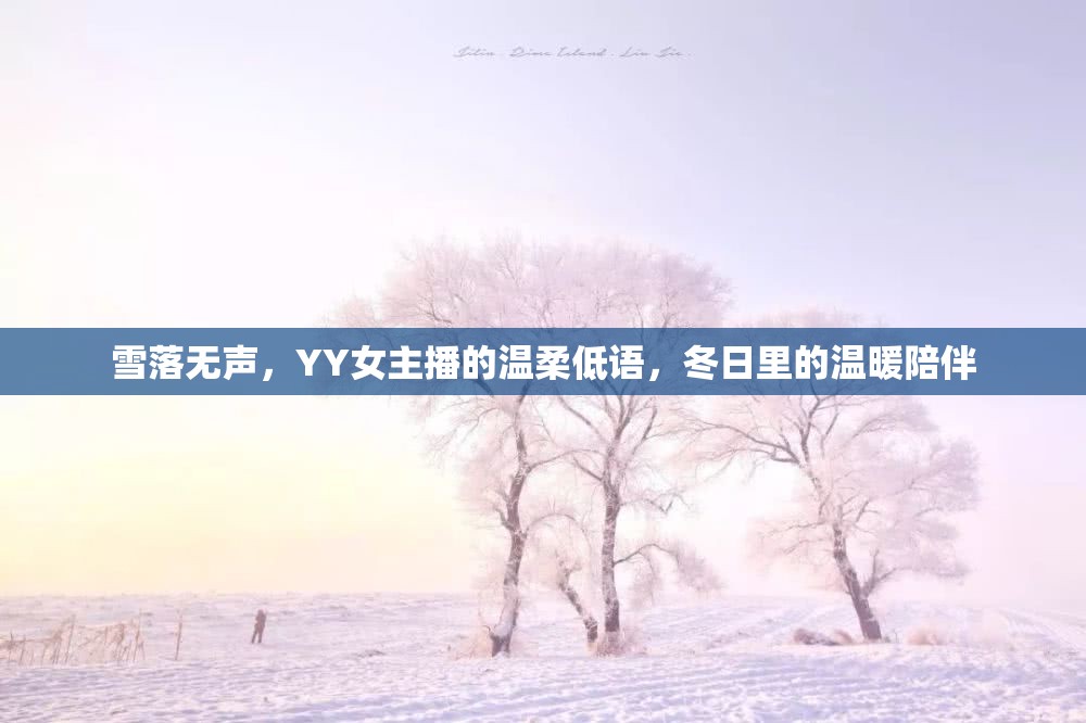 雪落無(wú)聲，YY女主播的溫柔低語(yǔ)，冬日里的溫暖陪伴
