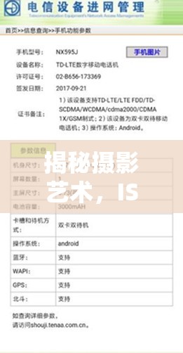 揭秘攝影藝術(shù)，ISO——曝光參數(shù)中的光影魔術(shù)師