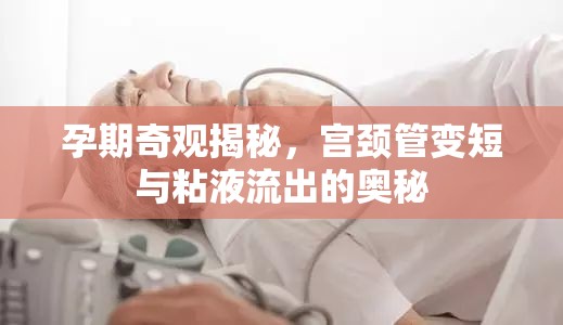 孕期奇觀揭秘，宮頸管變短與粘液流出的奧秘