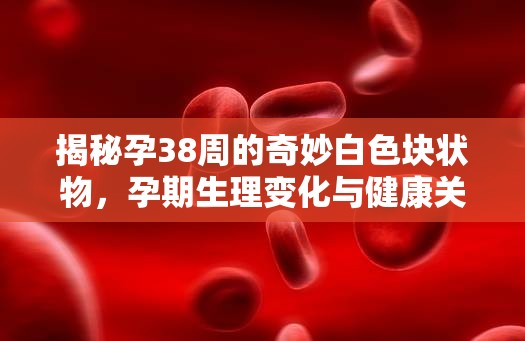 揭秘孕38周的奇妙白色塊狀物，孕期生理變化與健康關(guān)懷