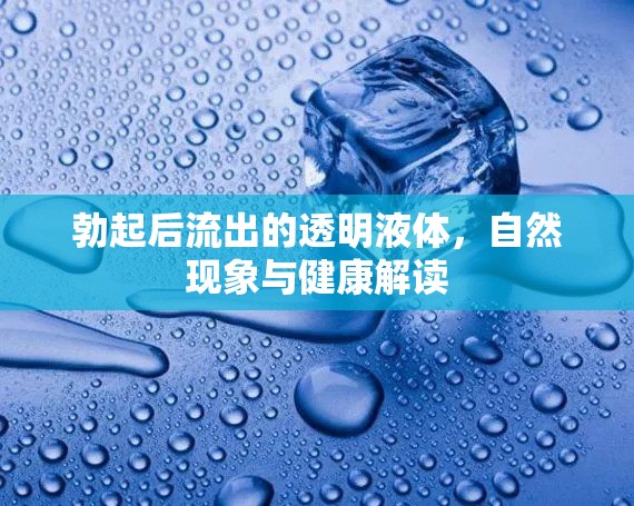 勃起后流出的透明液體，自然現(xiàn)象與健康解讀