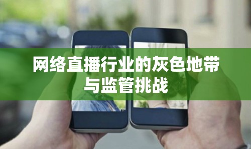 網(wǎng)絡(luò)直播行業(yè)的灰色地帶與監(jiān)管挑戰(zhàn)