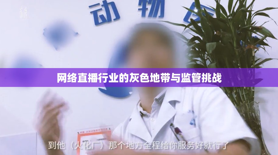 網(wǎng)絡(luò)直播行業(yè)的灰色地帶與監(jiān)管挑戰(zhàn)