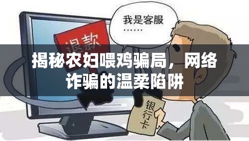 揭秘農(nóng)婦喂雞騙局，網(wǎng)絡詐騙的溫柔陷阱