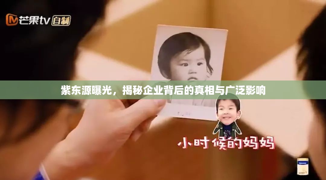 紫東源曝光，揭秘企業(yè)背后的真相與廣泛影響