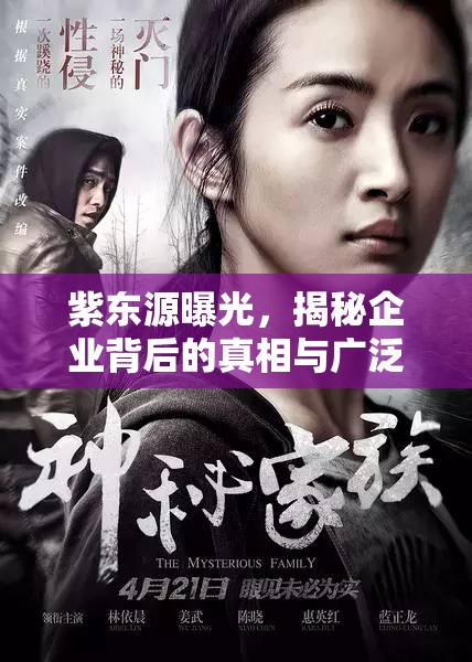 紫東源曝光，揭秘企業(yè)背后的真相與廣泛影響