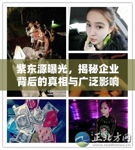 紫東源曝光，揭秘企業(yè)背后的真相與廣泛影響