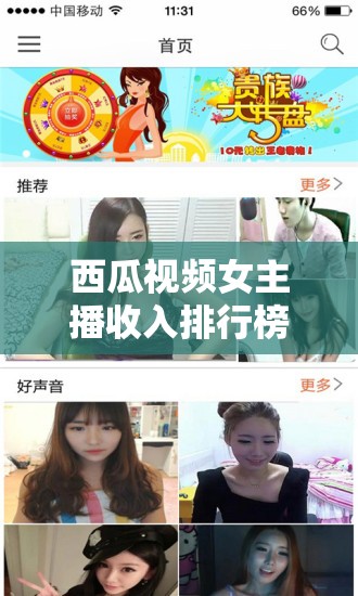 西瓜視頻女主播收入排行榜，網(wǎng)絡(luò)新星的光輝與挑戰(zhàn)