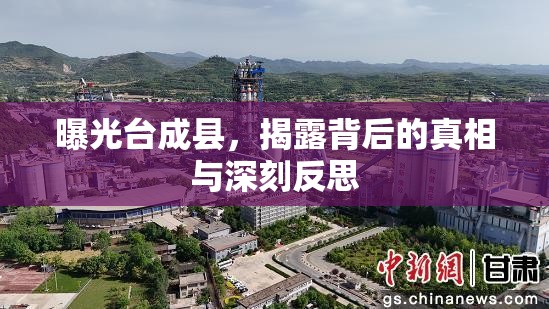 曝光臺(tái)成縣，揭露背后的真相與深刻反思