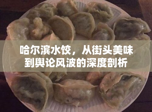 哈爾濱水餃，從街頭美味到輿論風(fēng)波的深度剖析