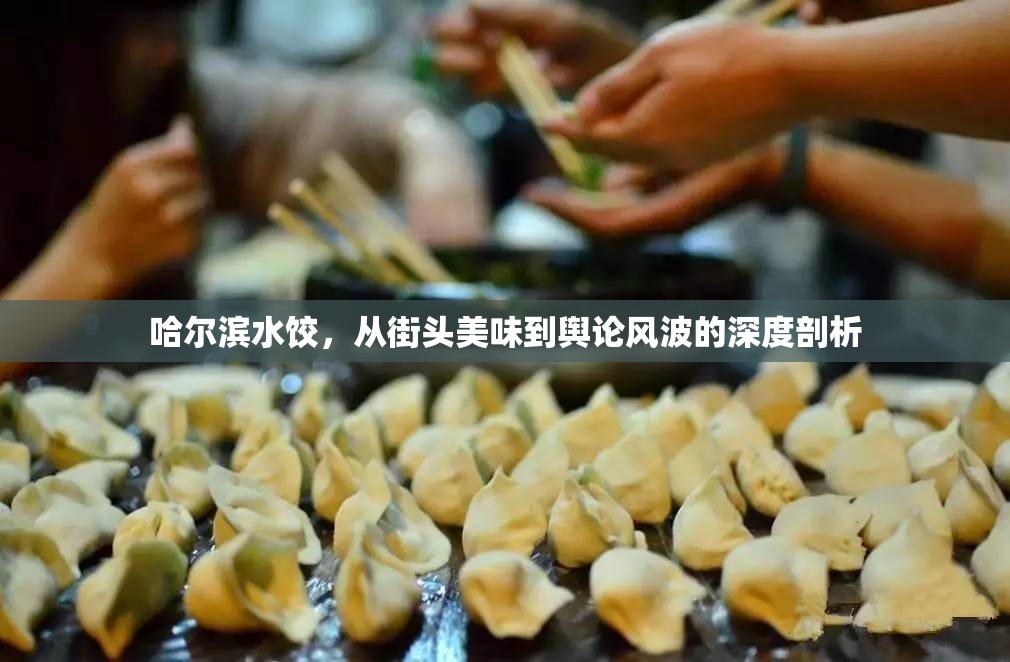 哈爾濱水餃，從街頭美味到輿論風(fēng)波的深度剖析