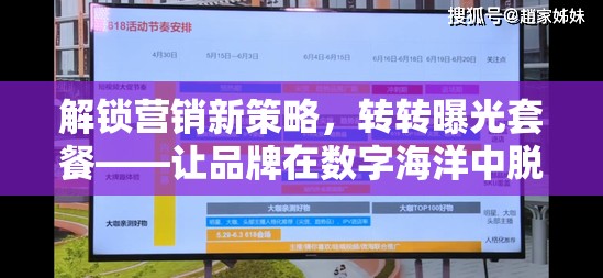 解鎖營銷新策略，轉(zhuǎn)轉(zhuǎn)曝光套餐——讓品牌在數(shù)字海洋中脫穎而出