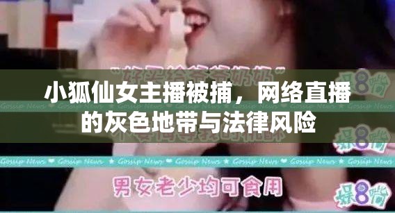 小狐仙女主播被捕，網(wǎng)絡(luò)直播的灰色地帶與法律風(fēng)險