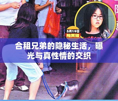 合租兄弟的隱秘生活，曝光與真性情的交織