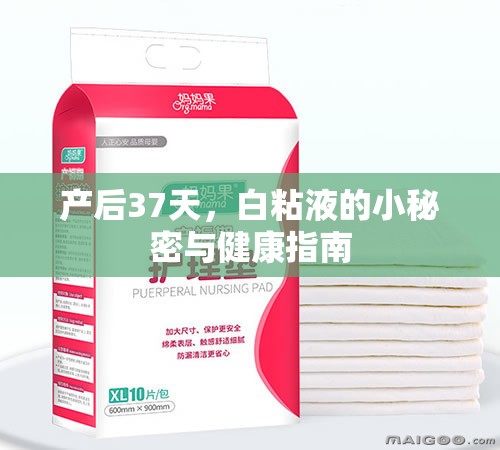 產(chǎn)后37天，白粘液的小秘密與健康指南