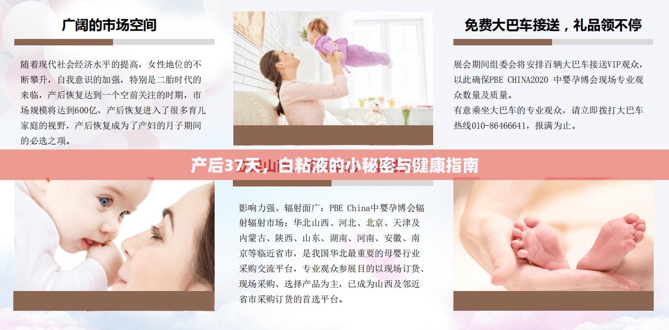 產(chǎn)后37天，白粘液的小秘密與健康指南