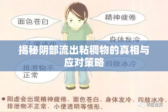 揭秘陰部流出粘稠物的真相與應(yīng)對(duì)策略