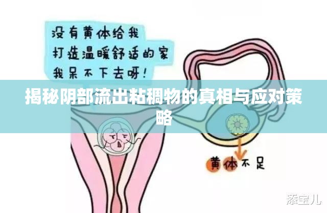 揭秘陰部流出粘稠物的真相與應(yīng)對(duì)策略