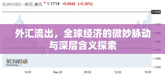外匯流出，全球經(jīng)濟(jì)的微妙脈動(dòng)與深層含義探索