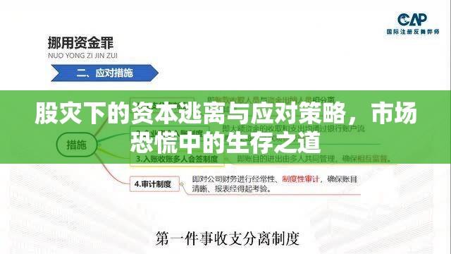 股災(zāi)下的資本逃離與應(yīng)對(duì)策略，市場(chǎng)恐慌中的生存之道
