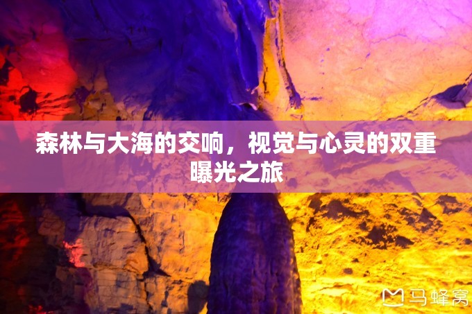 森林與大海的交響，視覺與心靈的雙重曝光之旅