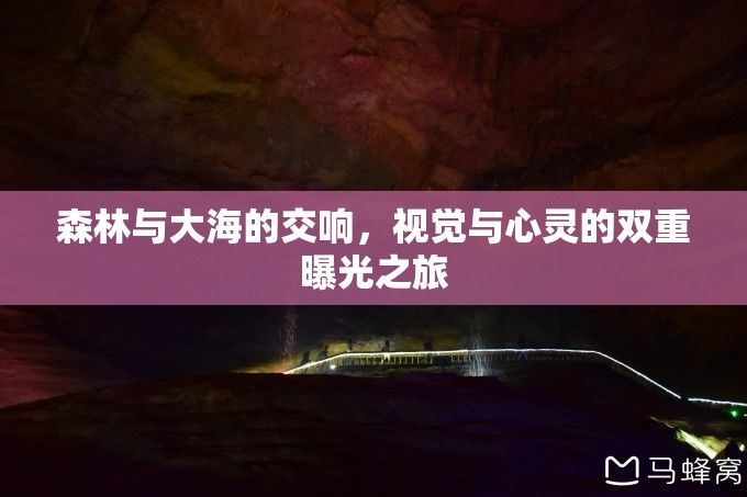 森林與大海的交響，視覺與心靈的雙重曝光之旅