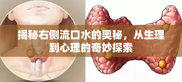 揭秘右側(cè)流口水的奧秘，從生理到心理的奇妙探索