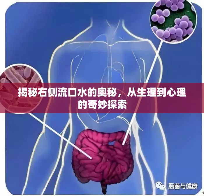 揭秘右側(cè)流口水的奧秘，從生理到心理的奇妙探索
