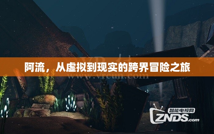 阿流，從虛擬到現(xiàn)實(shí)的跨界冒險(xiǎn)之旅