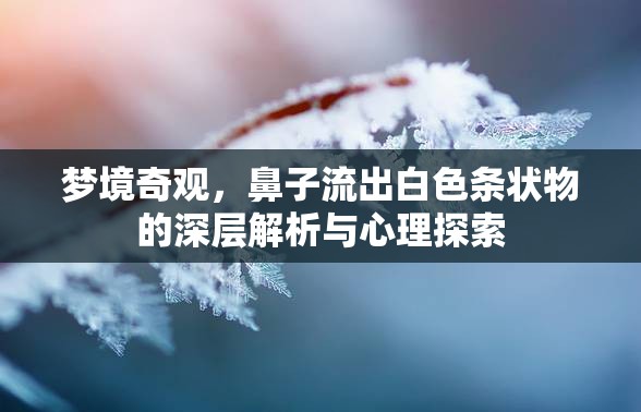 夢境奇觀，鼻子流出白色條狀物的深層解析與心理探索