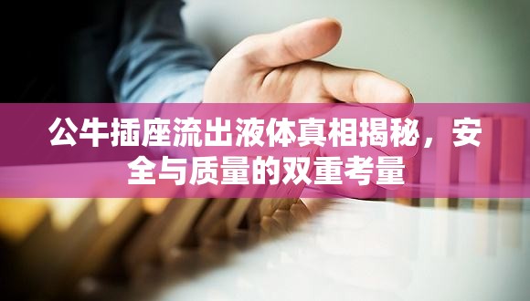 公牛插座流出液體真相揭秘，安全與質(zhì)量的雙重考量