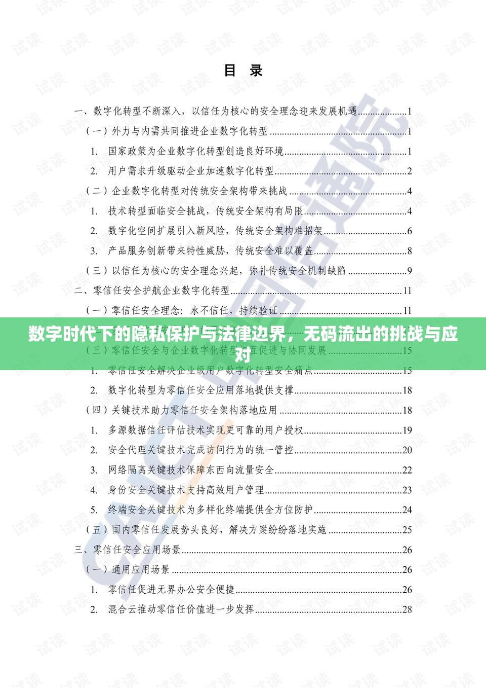 數(shù)字時代下的隱私保護(hù)與法律邊界，無碼流出的挑戰(zhàn)與應(yīng)對