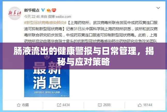 腸液流出的健康警報與日常管理，揭秘與應(yīng)對策略