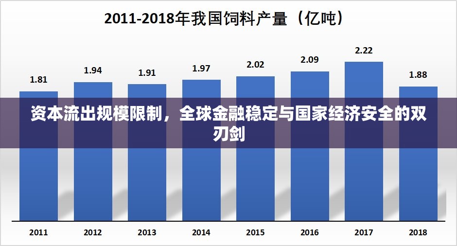 資本流出規(guī)模限制，全球金融穩(wěn)定與國家經濟安全的雙刃劍