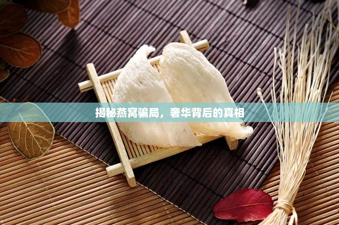 揭秘燕窩騙局，奢華背后的真相