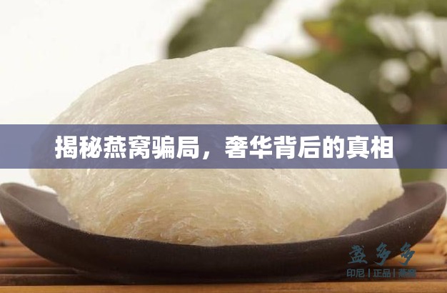 揭秘燕窩騙局，奢華背后的真相