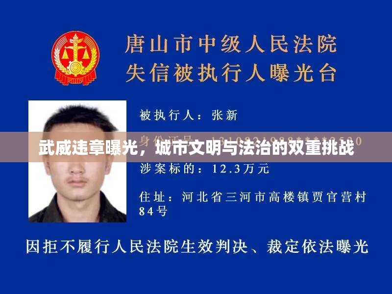武威違章曝光，城市文明與法治的雙重挑戰(zhàn)