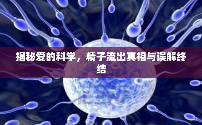 揭秘愛(ài)的科學(xué)，精子流出真相與誤解終結(jié)