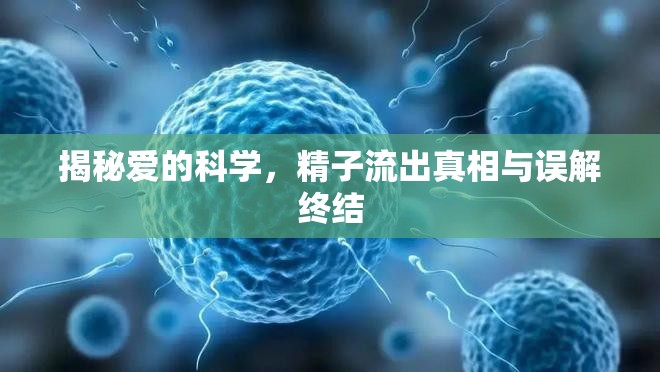 揭秘愛(ài)的科學(xué)，精子流出真相與誤解終結(jié)