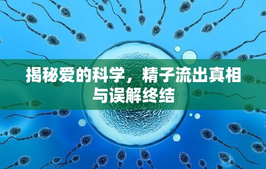 揭秘愛(ài)的科學(xué)，精子流出真相與誤解終結(jié)