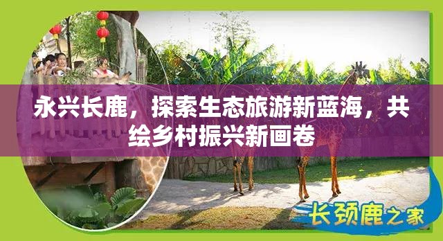 永興長鹿，探索生態(tài)旅游新藍(lán)海，共繪鄉(xiāng)村振興新畫卷