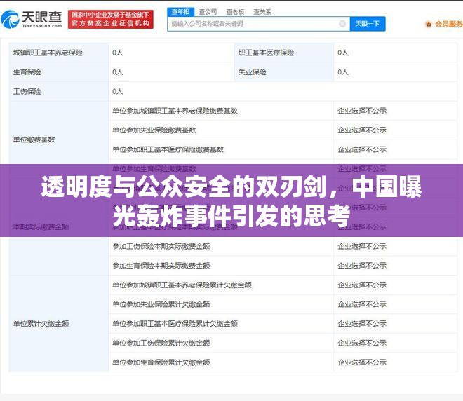 透明度與公眾安全的雙刃劍，中國(guó)曝光轟炸事件引發(fā)的思考